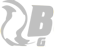 Skyline logo footer