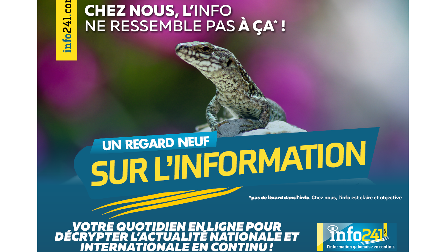 Nouveaux visuels publicitaires d'Info241