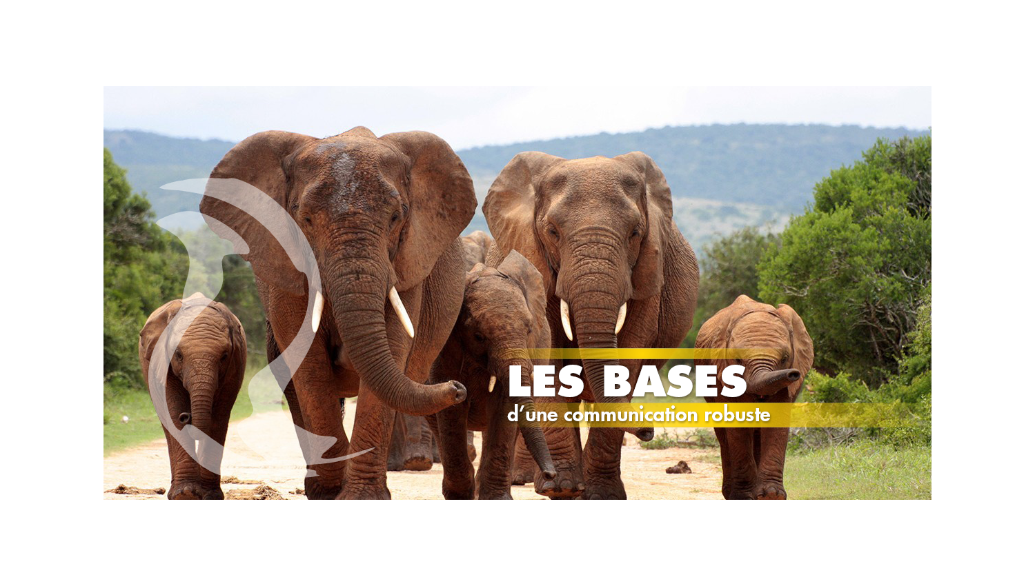 Communication visuelle