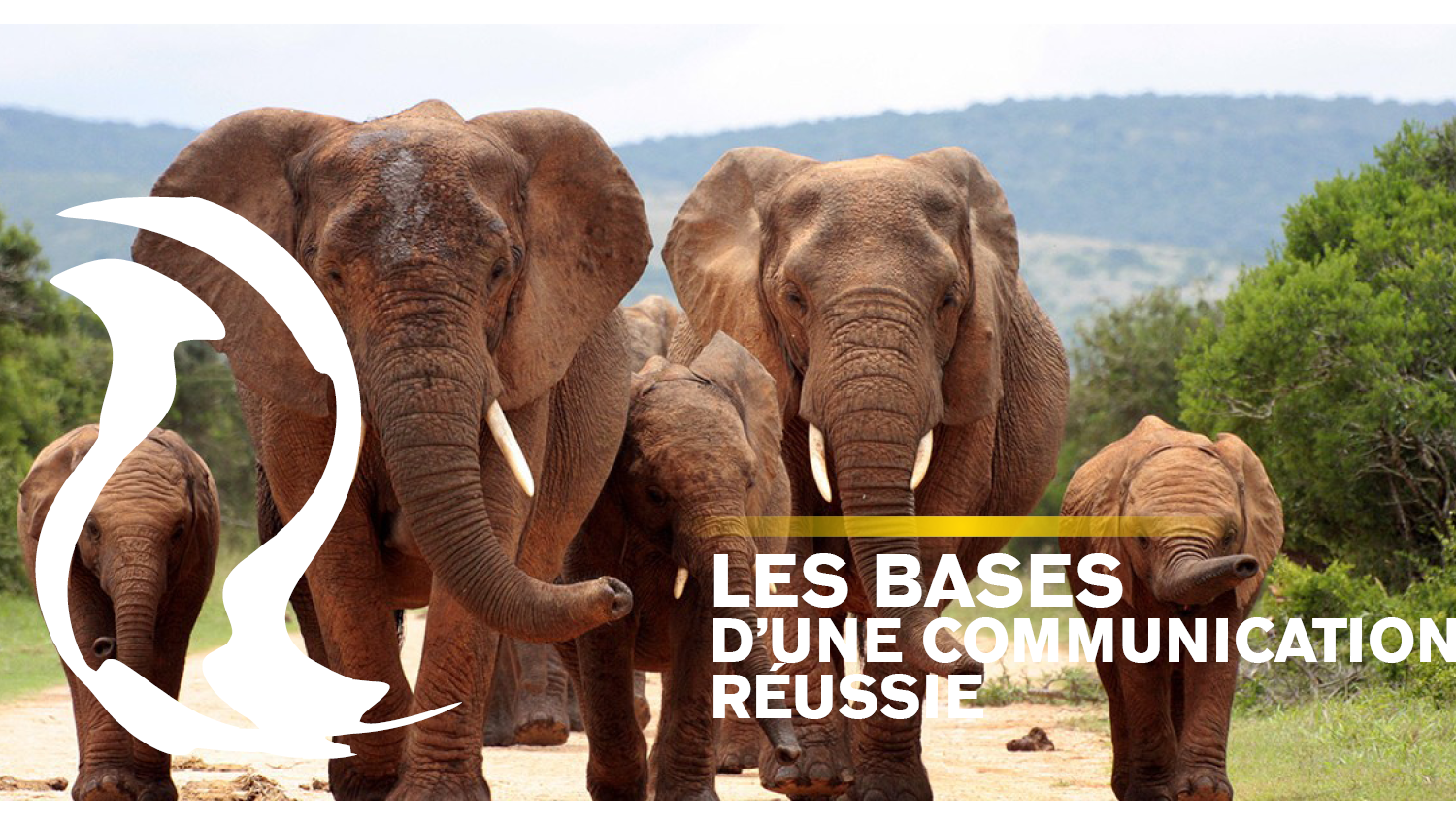 Les bases d'une communication réussie
