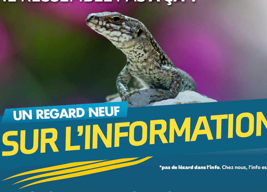 Nouveaux visuels publicitaires d'Info241