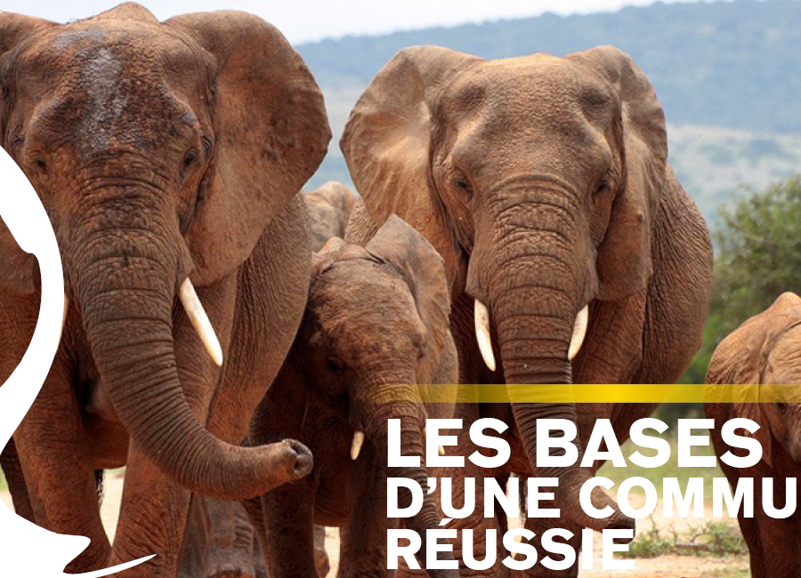 Les bases d'une communication réussie