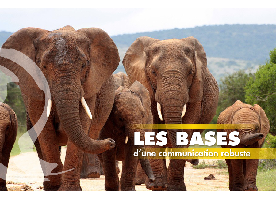 Communication visuelle