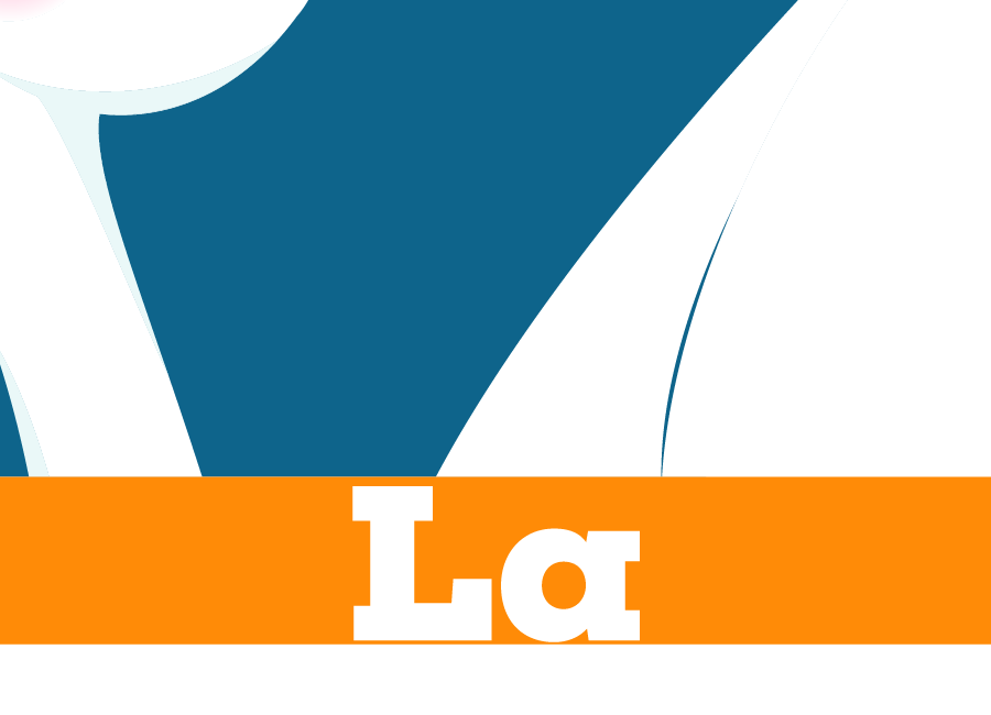Logo de La Cygogne Magique (LCM)